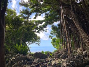 海と山しか写真とっていないなあ