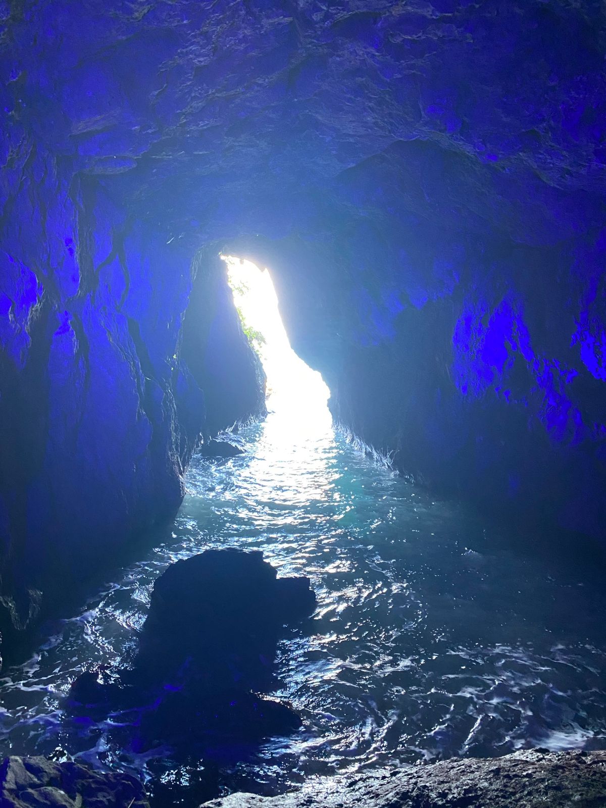 青の洞窟

青いランプがすごかった、、笑
