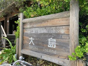八幡浜大島