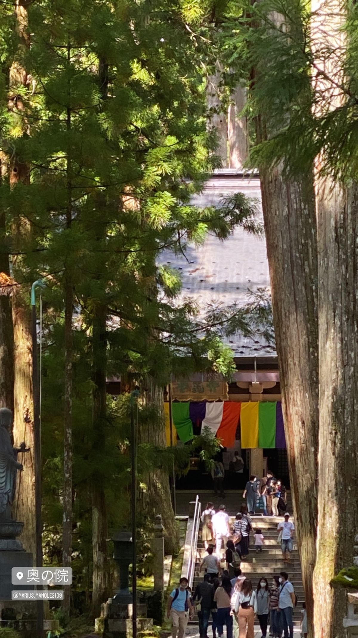 高野山　奥之院、金剛峯寺、宿坊泊