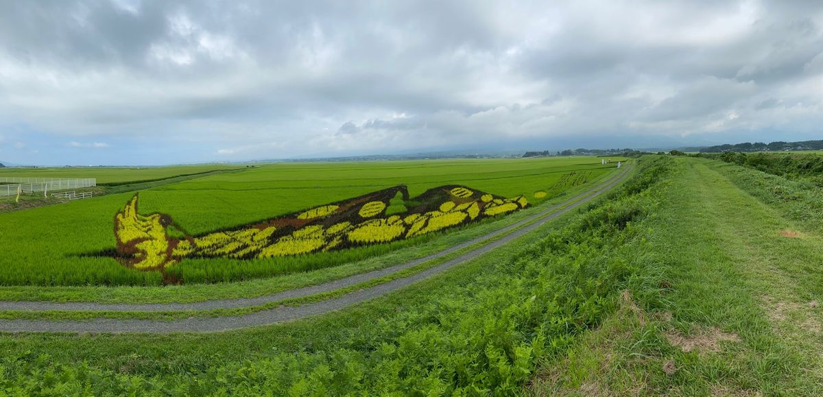 フェリー→レンタカー→たらい舟→佐渡金山→尖閣湾→ホテル→田んぼアート→野...