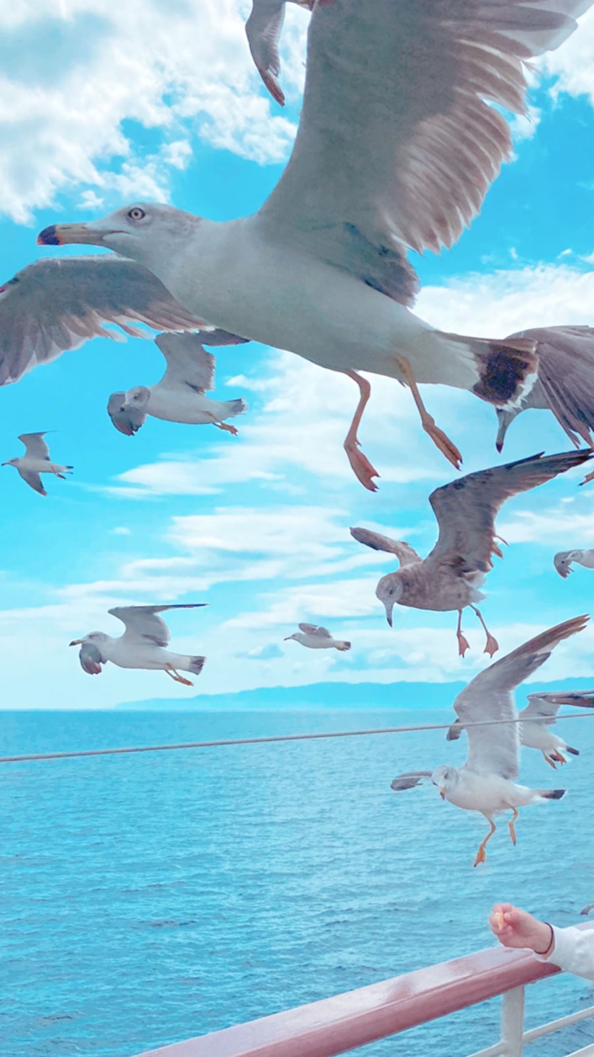 フェリー→レンタカー→たらい舟→佐渡金山→尖閣湾→ホテル→田んぼアート→野...