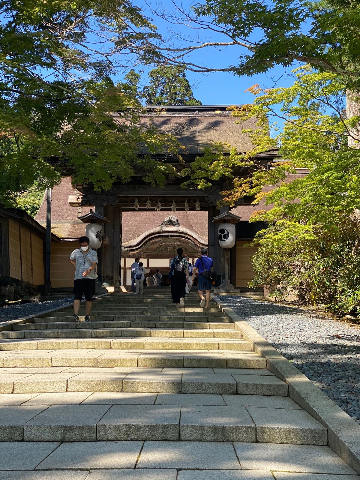 高野山　奥之院、金剛峯寺、宿坊泊