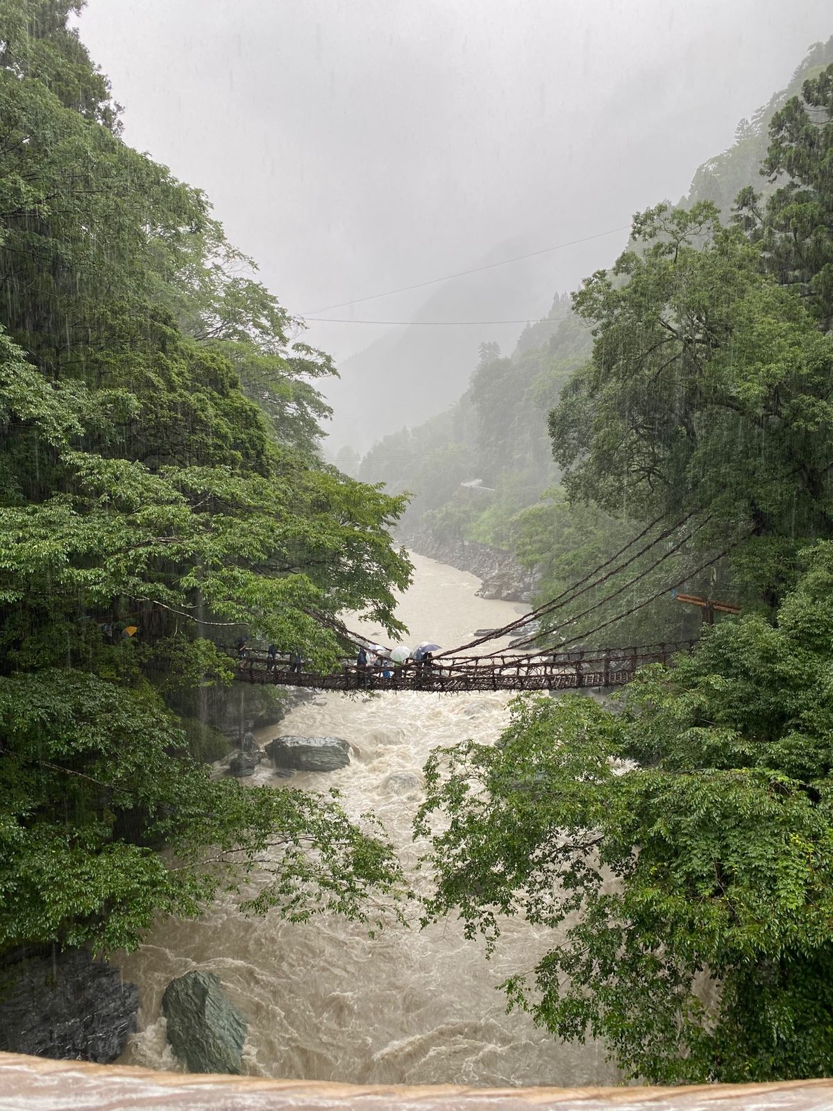 うどん→金比羅山→香川市→リマコーヒー→かずら橋→高知→カツオ