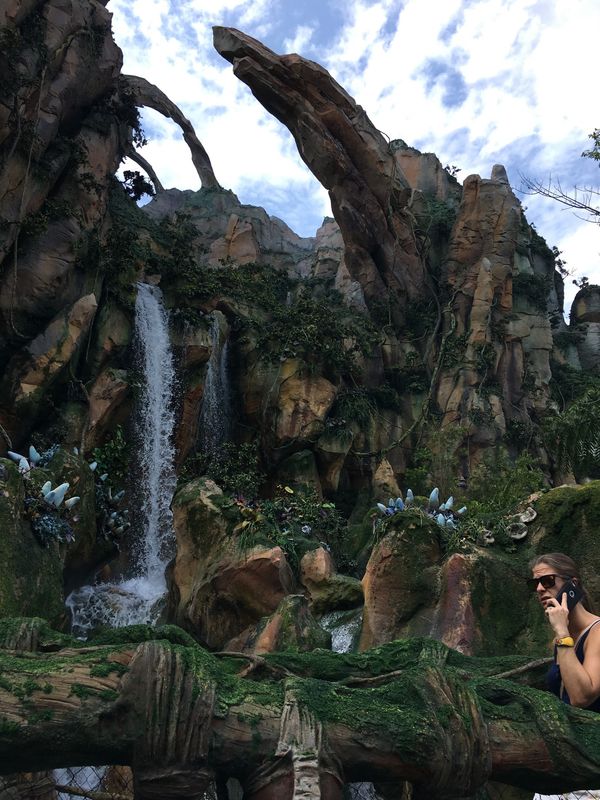 アメリカ(米国)・フロリダ「WDW●🎀●」の写真