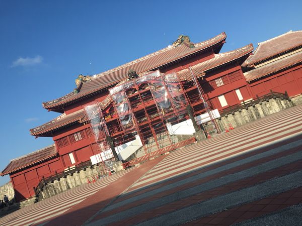 日本・沖縄「人生２回目の沖縄🐠」の写真