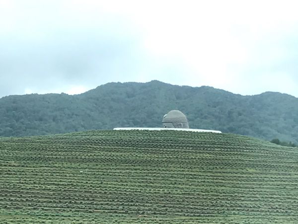 日本・札幌「北海道」の写真：真駒内霊園の頭大仏。
モアイ像はコロナ対...