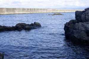そこらへんに生き物がうじゃうじゃいる！
ずーっと居れる海🏖