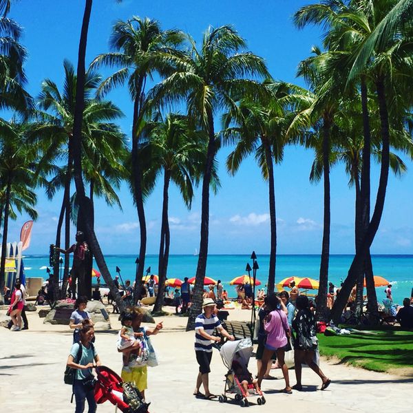 アメリカ(米国)・ハワイ「ハワイ旅行」の写真