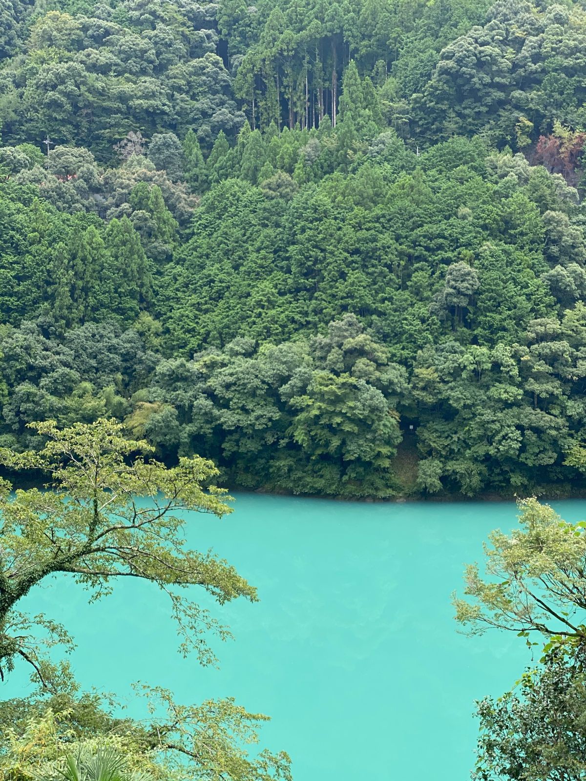 和歌山、瀞峡、那智滝、農家民宿