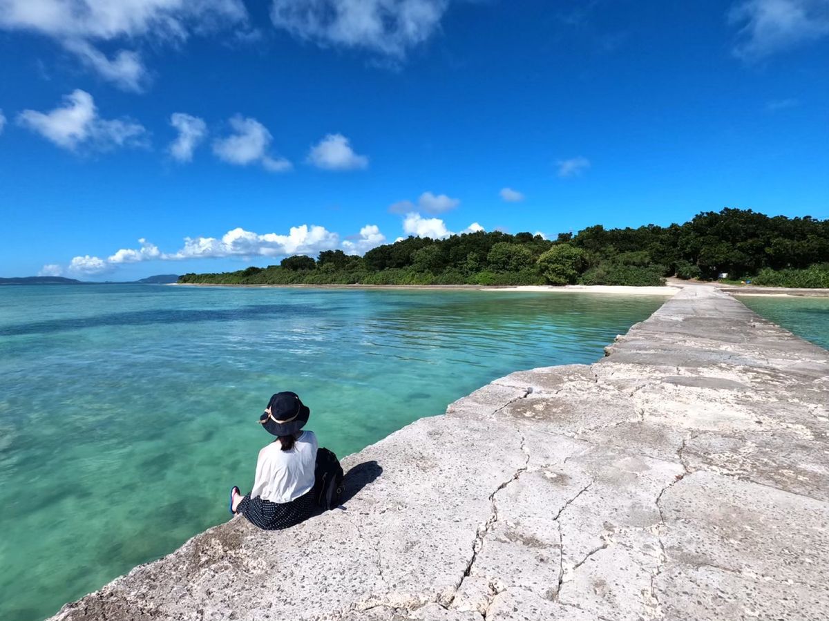 シュノーケリングを終えたあとは竹富島に移動。
町並がザ・沖縄という感じの島...