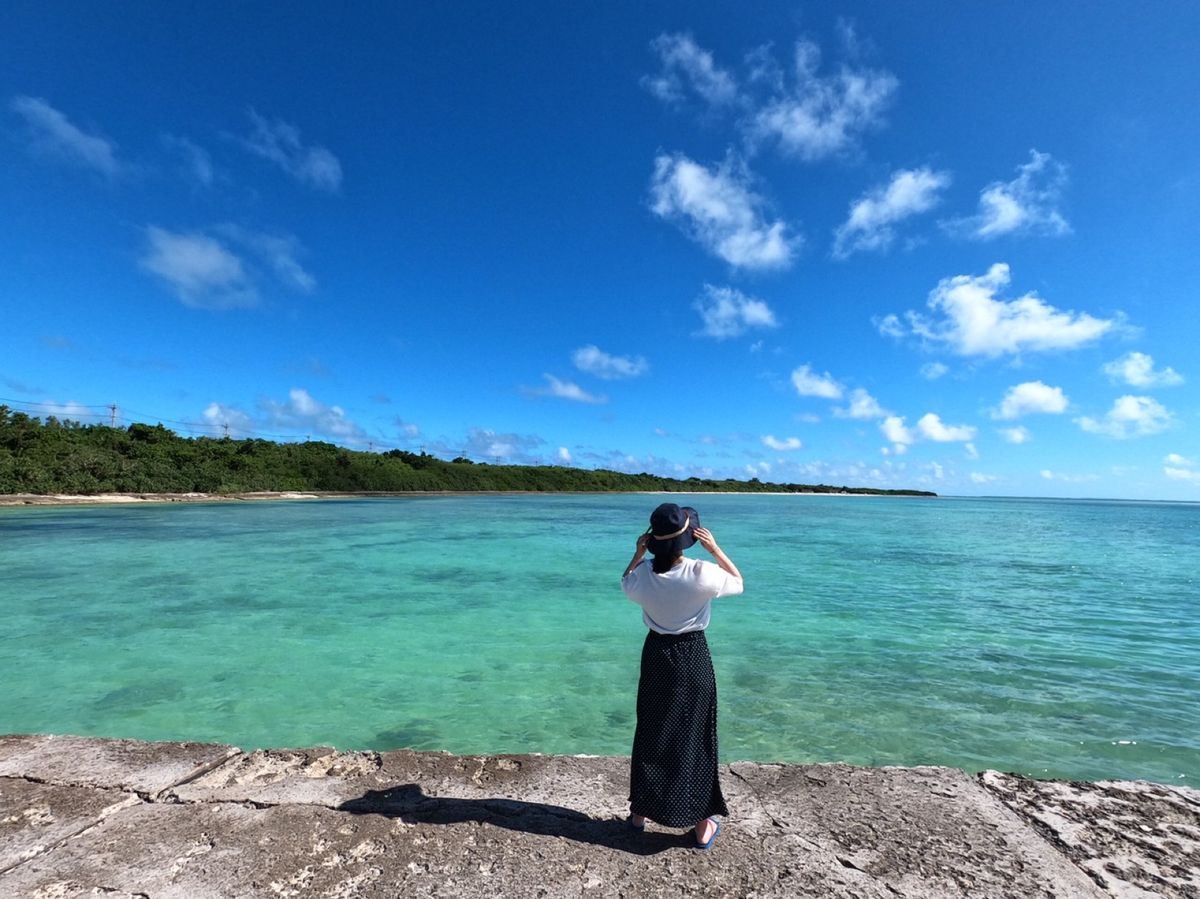 シュノーケリングを終えたあとは竹富島に移動。
町並がザ・沖縄という感じの島...