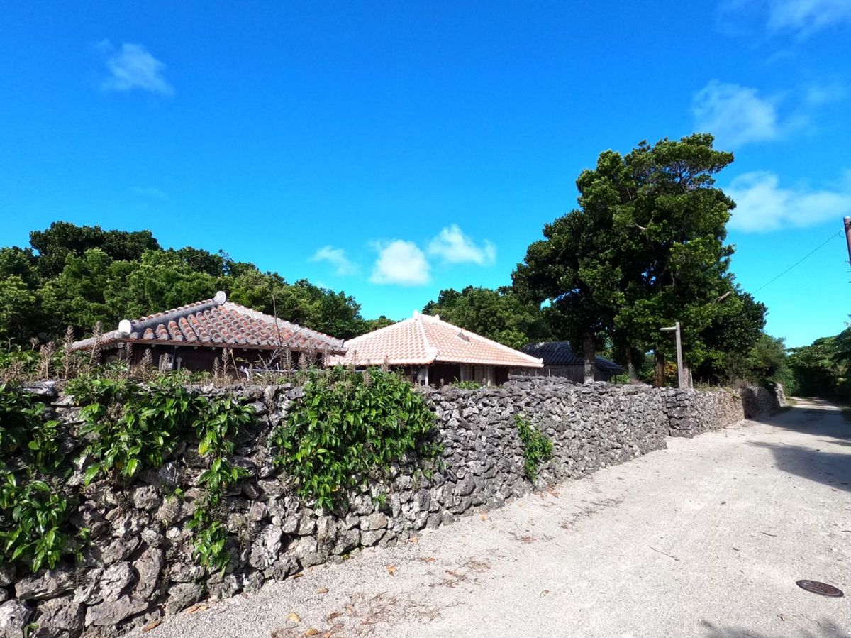シュノーケリングを終えたあとは竹富島に移動。
町並がザ・沖縄という感じの島...