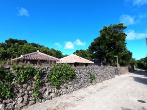 シュノーケリングを終えたあとは竹富島に移動。
町並がザ・沖縄という感じの島...
