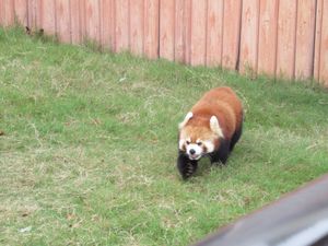 アドベンチャーワールド