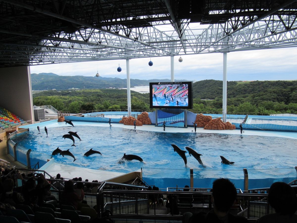 アドベンチャーワールド