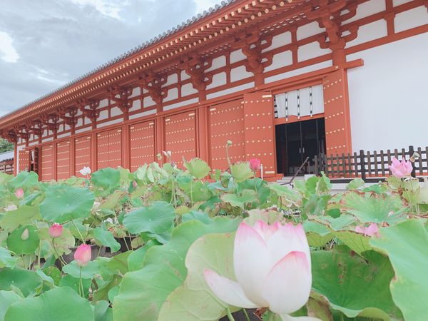 日本・奈良市「奈良」の写真