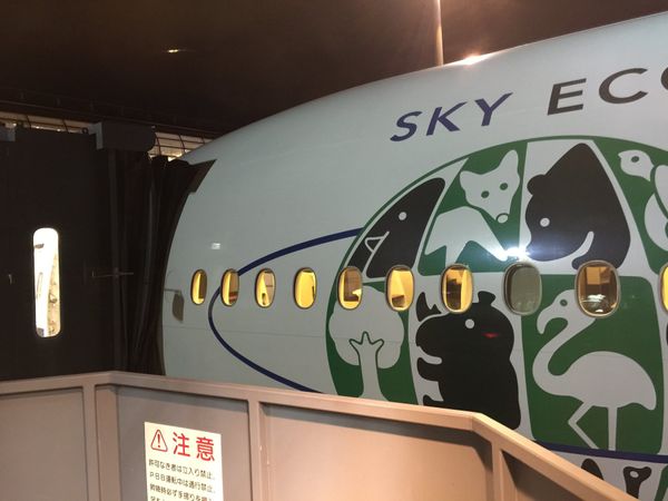 サンマルタン (オランダ領)・セントマーチン　マホビーチ　Sonestaoceanpointresort「2nd 新婚旅行でセントマーチン島」の写真：JL2 HND-SFO JA734J B...