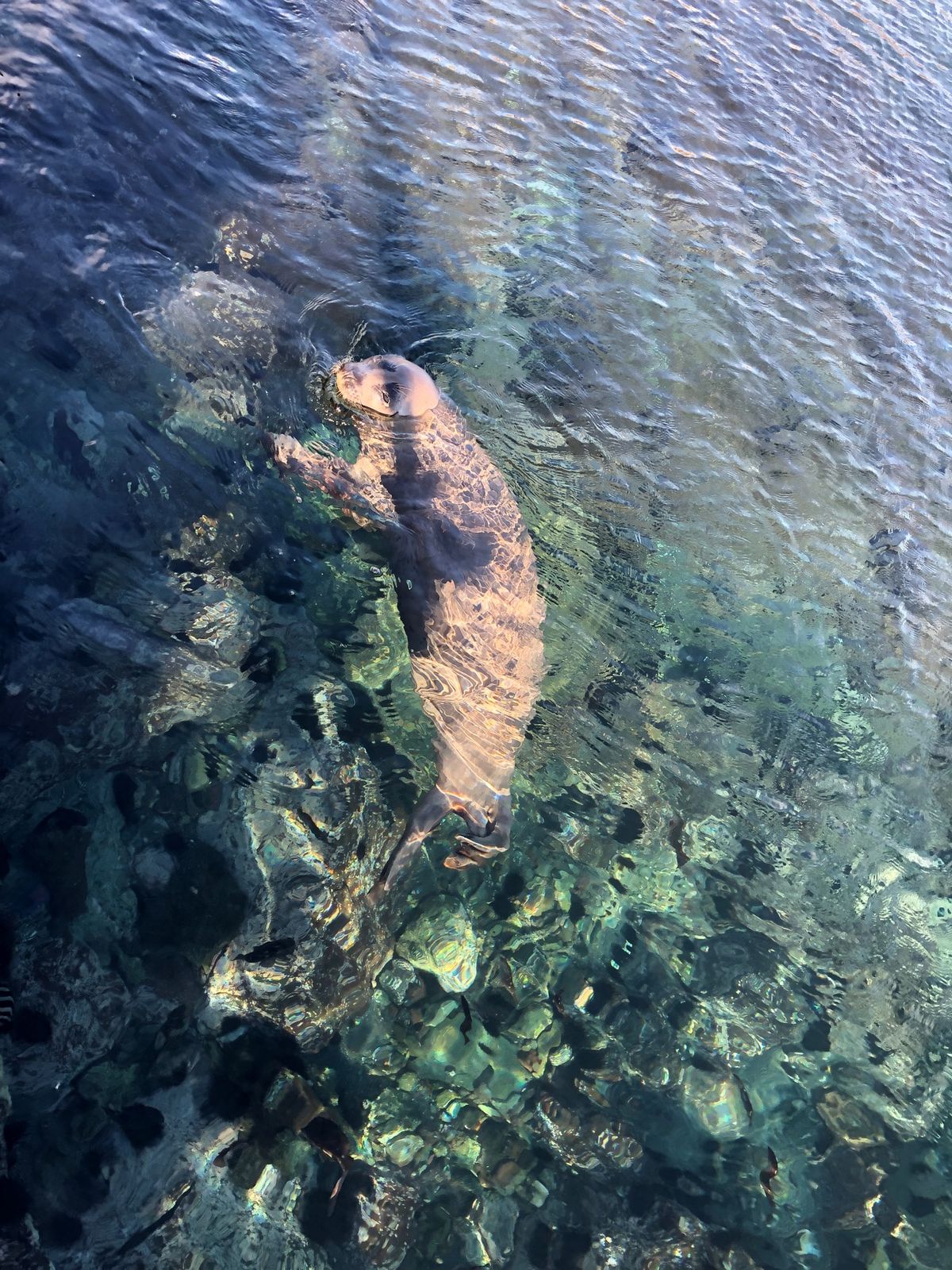 利尻島観光と、利尻でみた副虹