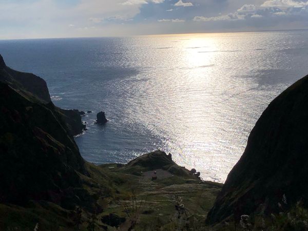 日本・礼文島「日本最北限を目指す旅」の写真：北のカナリアパークと礼文島から見た利尻富士