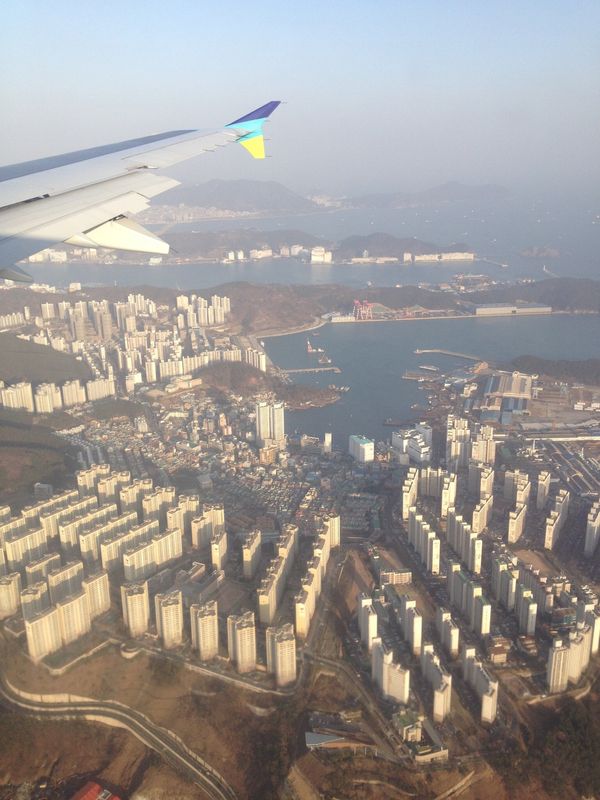 大韓民国 (韓国)・釜山「初＊釜山」の写真：釜山食い倒れ