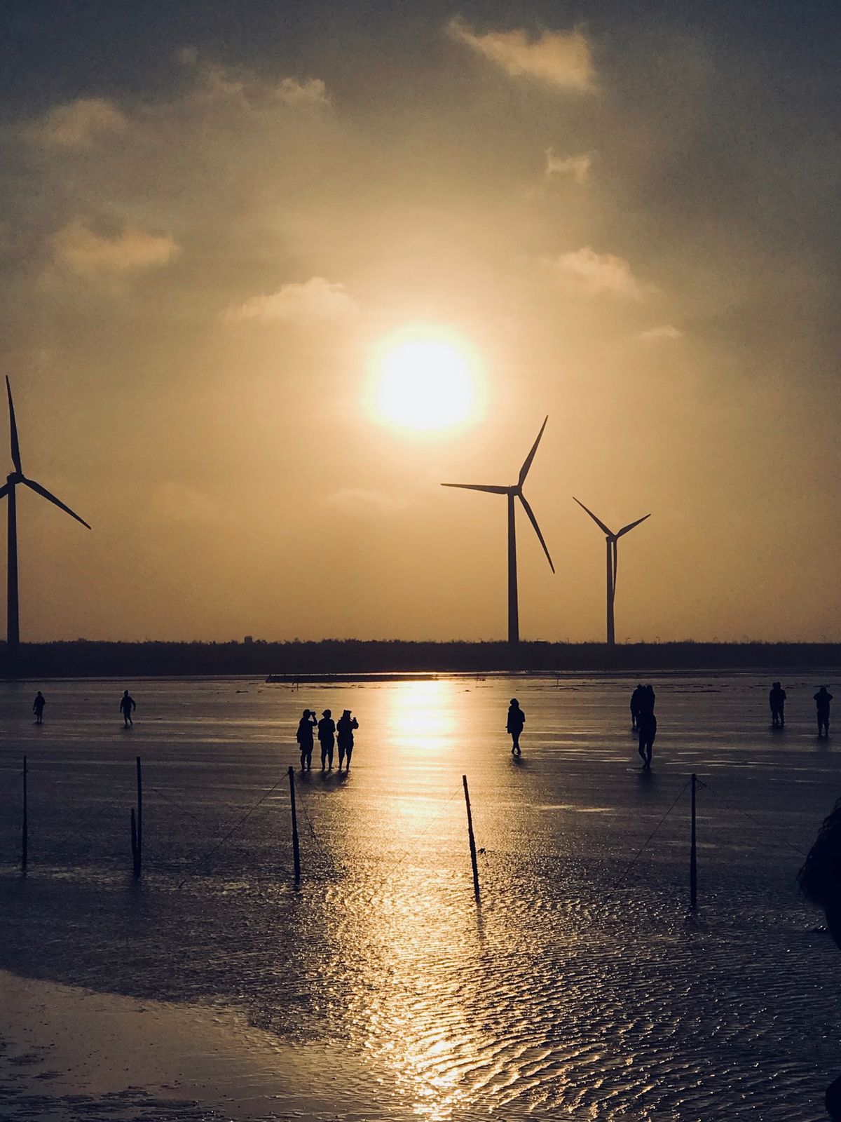 台北カウントダウンと台中の彩虹眷村と高美湿地
