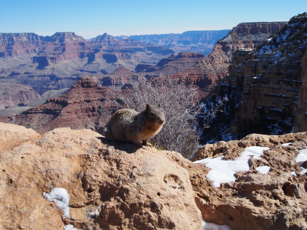 グランドキャニオン国立公園に1泊2日のオプショナルツアーに参加！
日の入り...