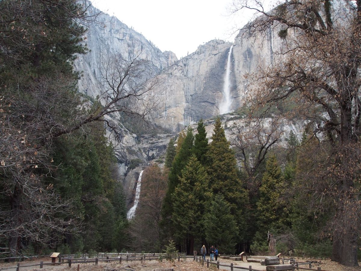 サンフランシスコから、ヨセミテ国立公園の1泊2日のオプショナルツアーに参加...