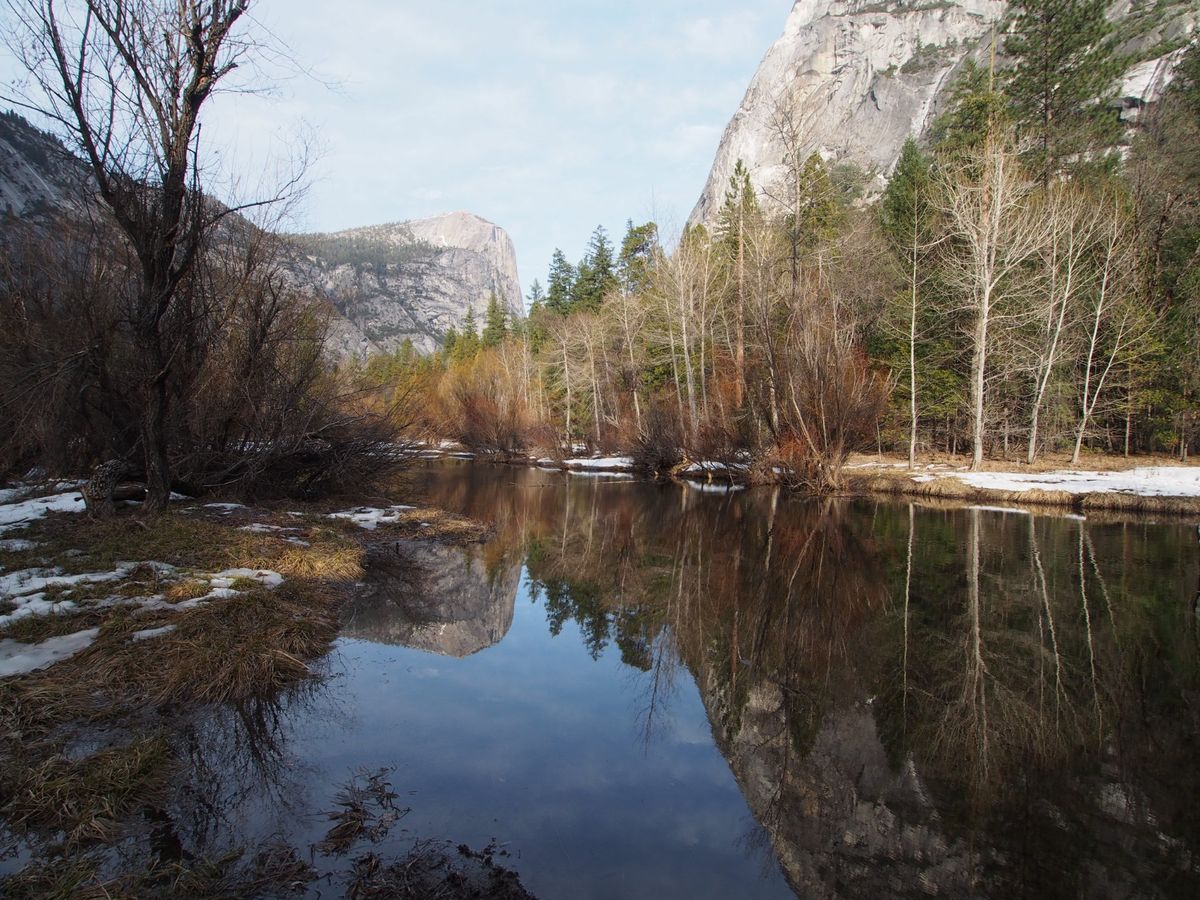 サンフランシスコから、ヨセミテ国立公園の1泊2日のオプショナルツアーに参加...