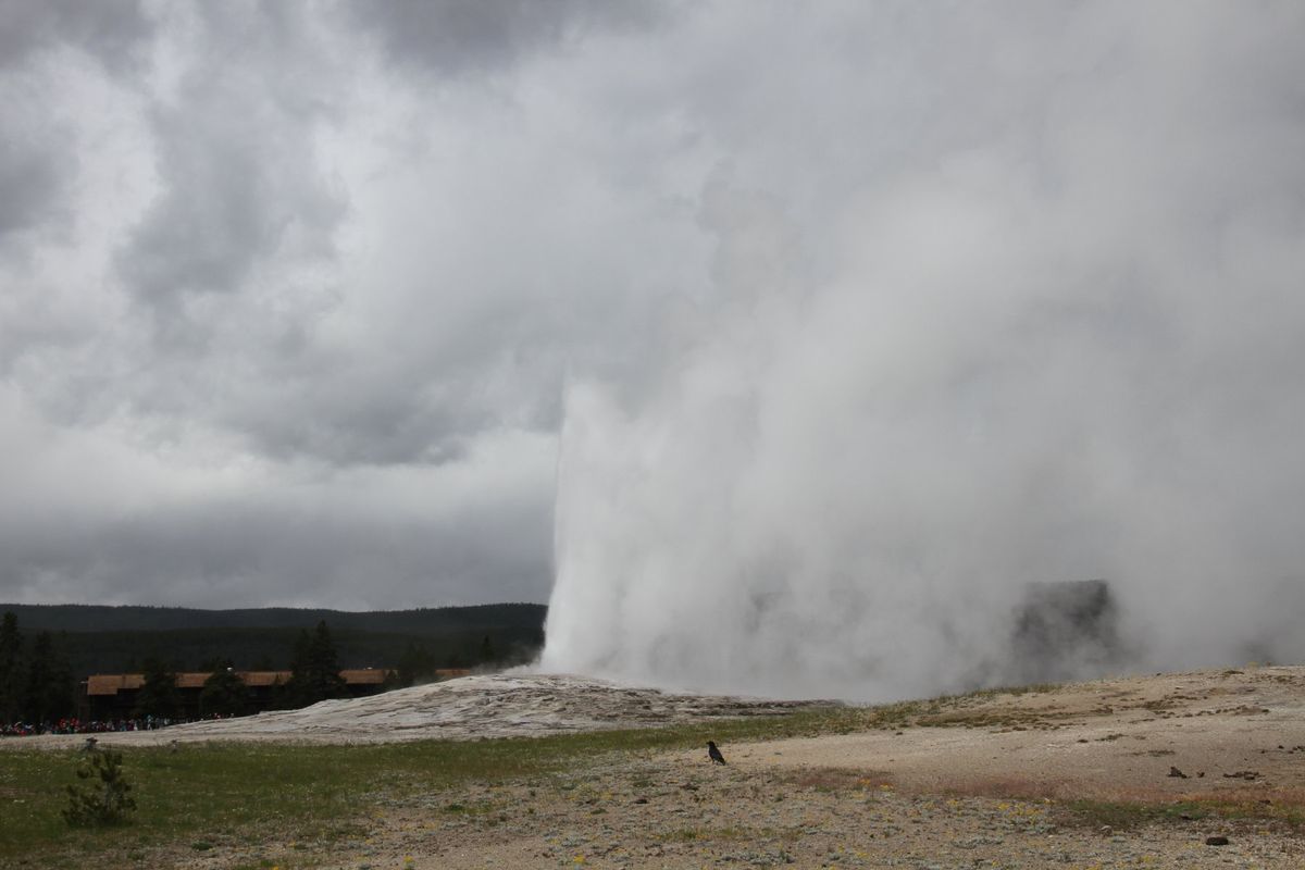 オールドフェイスフル間欠泉！
写真じゃ分かりづらいですが、30〜50mくら...