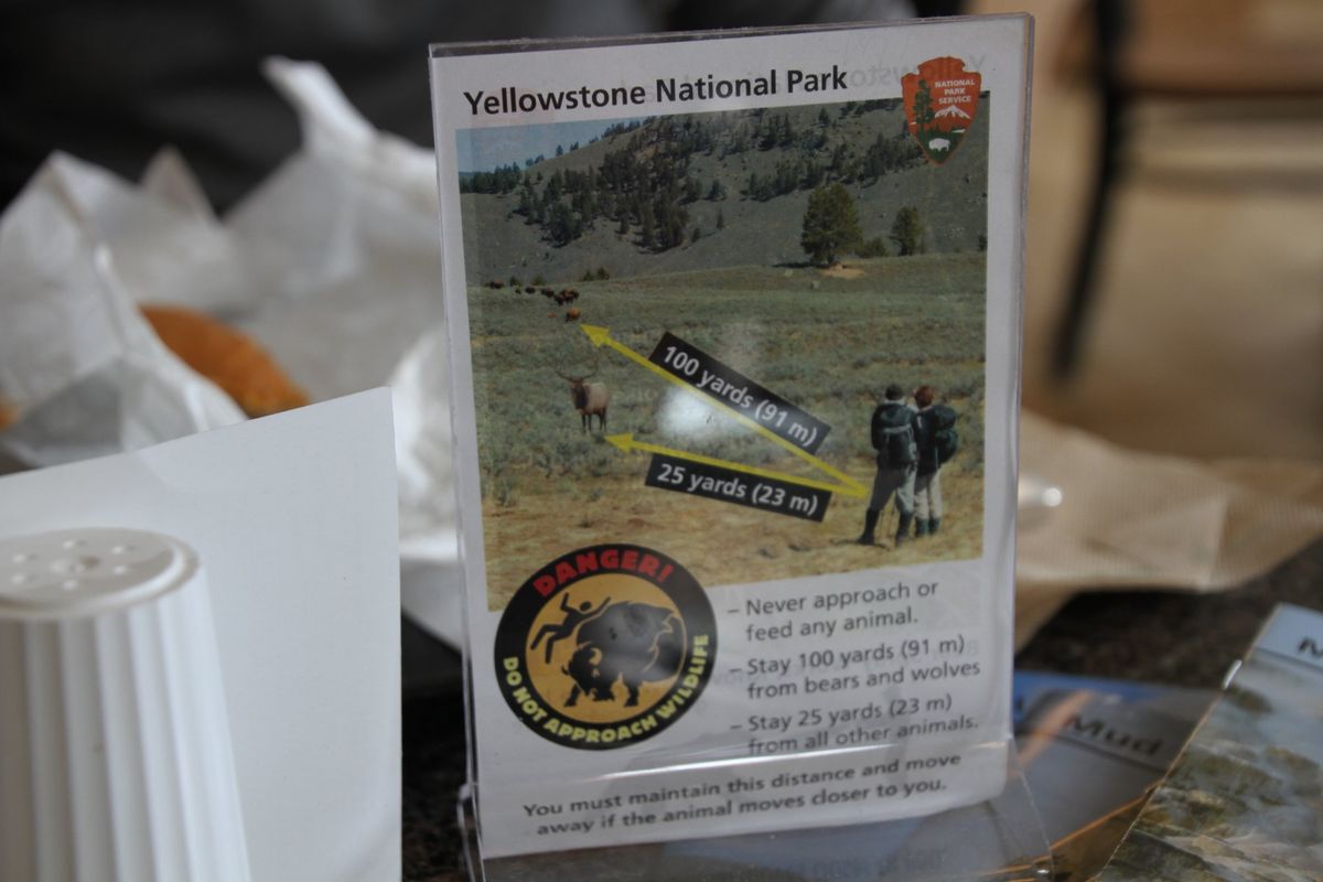 イエローストーン国立公園に到着！