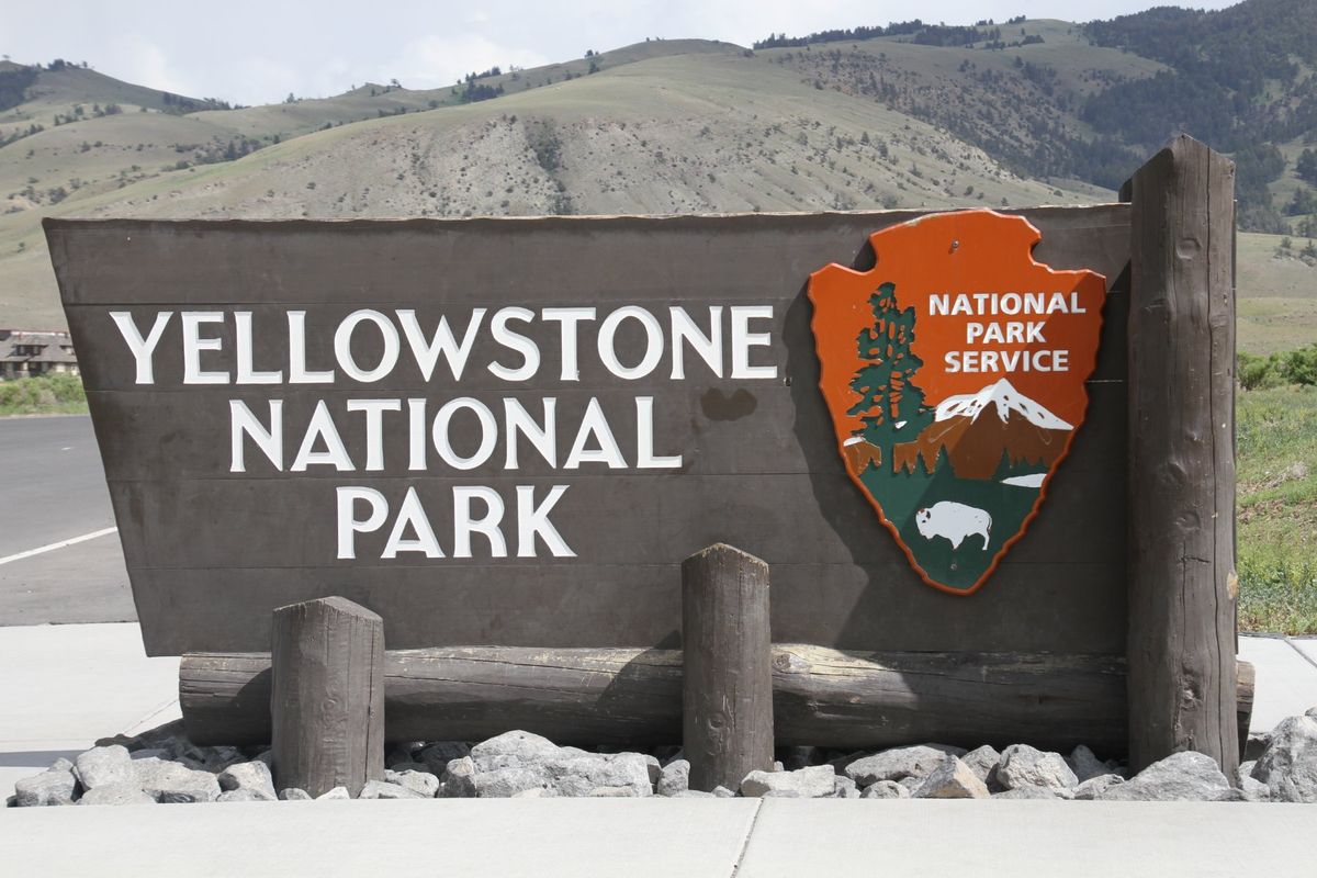 イエローストーン国立公園に到着！