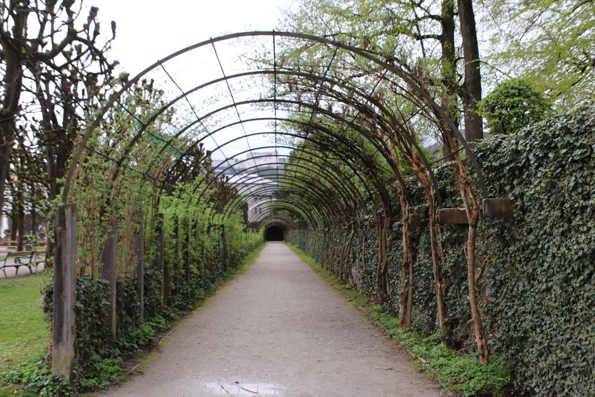 オーストリア到着！
翌日はザルツブルクへ！
サウンド・オブ・ミュージックで...