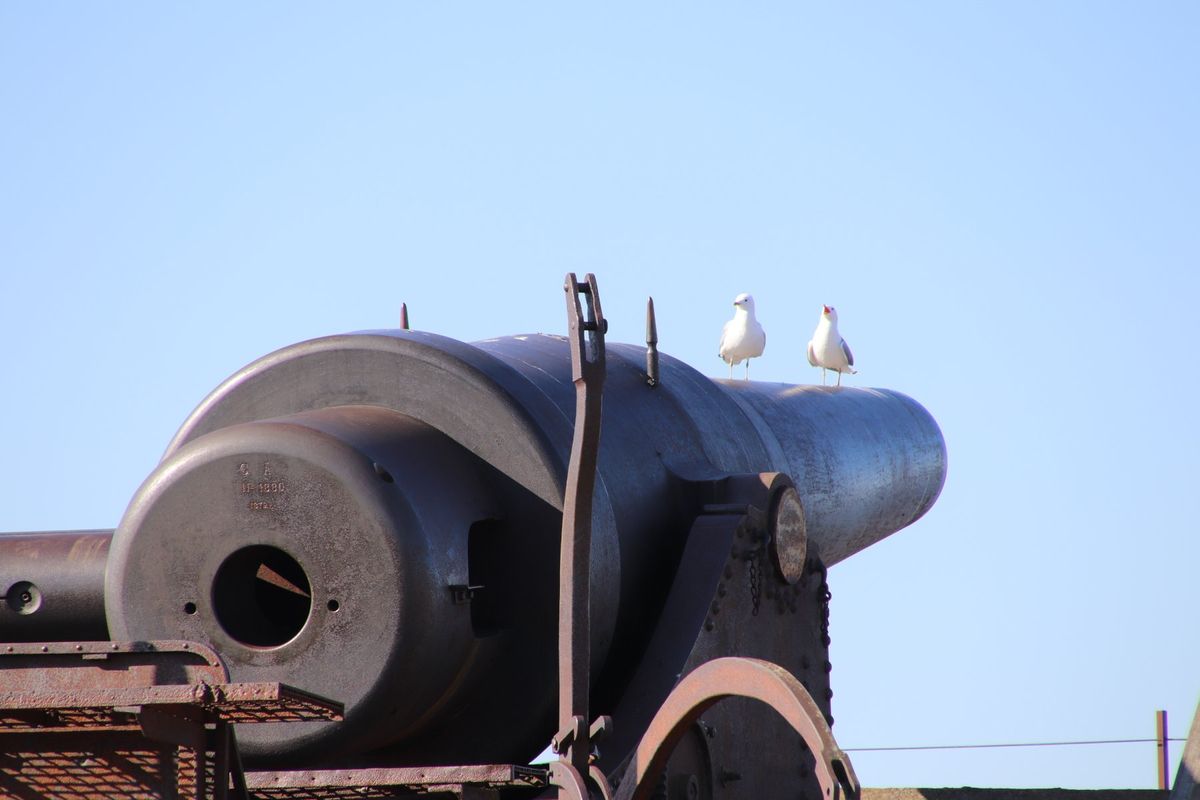 スオメンリンナ島観光！