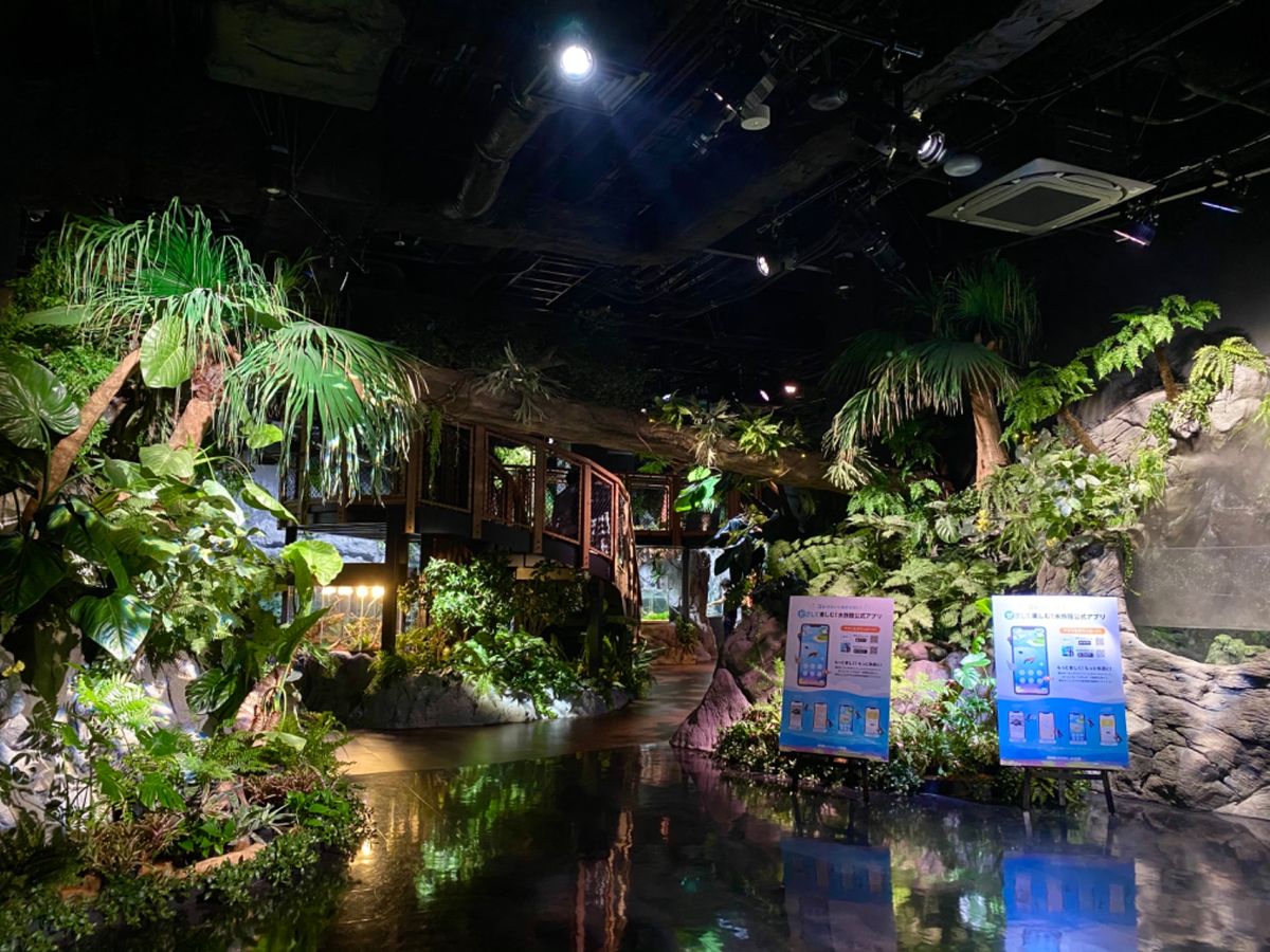 かりゆし水族館

お値段お高めだけど
展示の雰囲気とても良し
スマホ必須の...