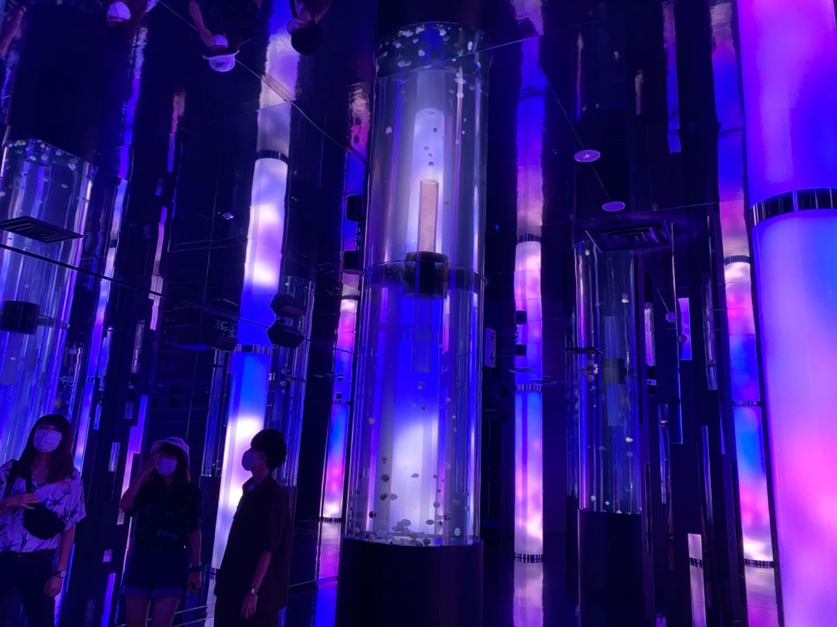 幻想的だったクラゲの展示