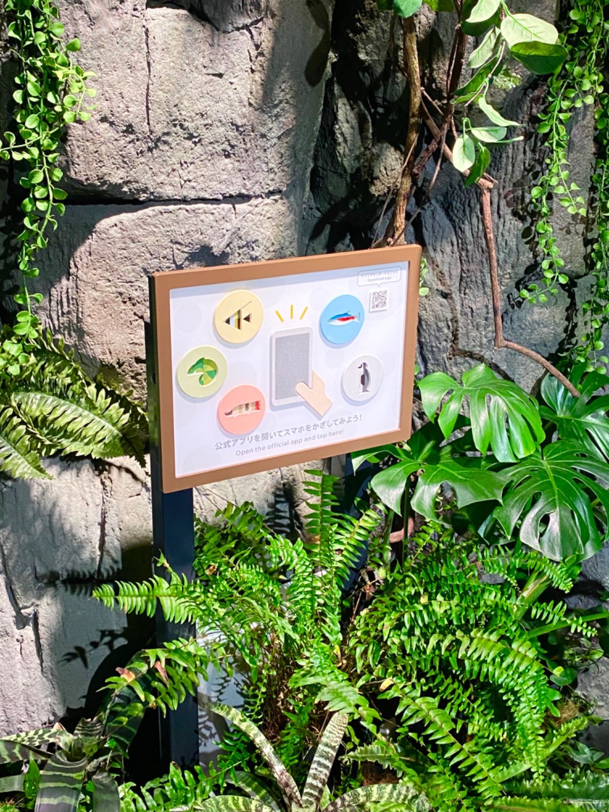 かりゆし水族館

お値段お高めだけど
展示の雰囲気とても良し
スマホ必須の...