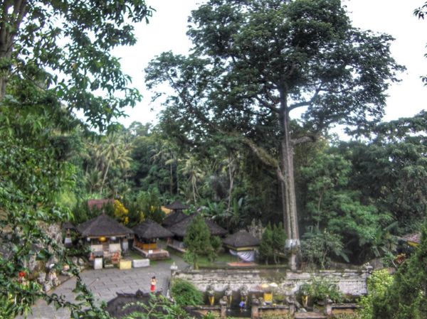 インドネシア・バリ島「Indonesia🇮🇩Bali第1回母娘旅行👩‍👧」の写真：23rd Feb 2010 pic📷
ゴ...