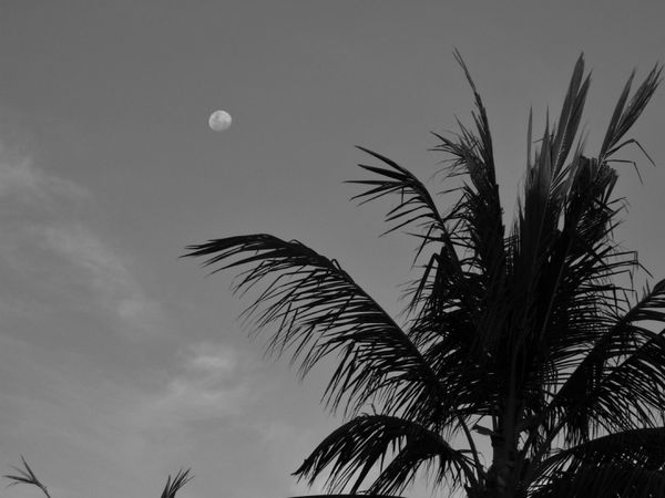 インドネシア・バリ島「Indonesia🇮🇩Bali第1回母娘旅行👩‍👧」の写真：初めての母娘旅行は時間を忘れての〜んび...