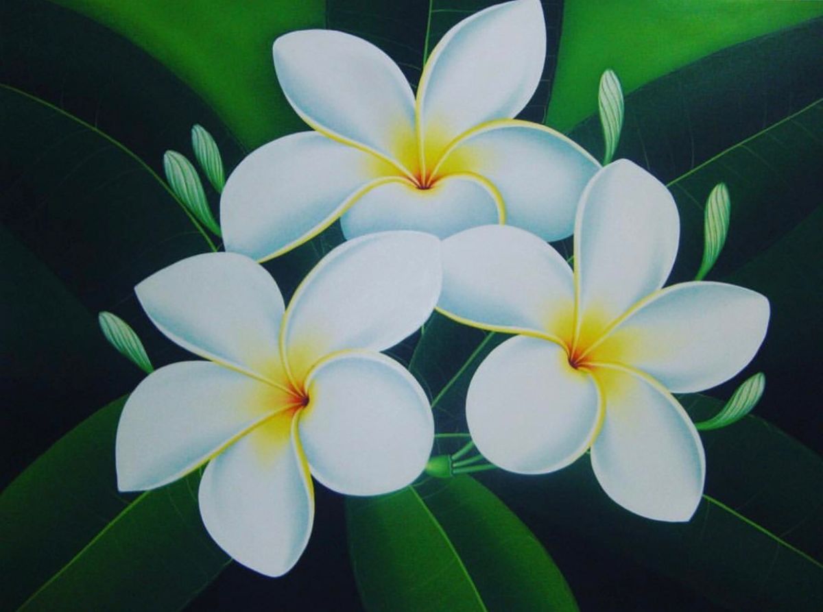 23rd Feb 2010 pic📷

It′s a very nice ...