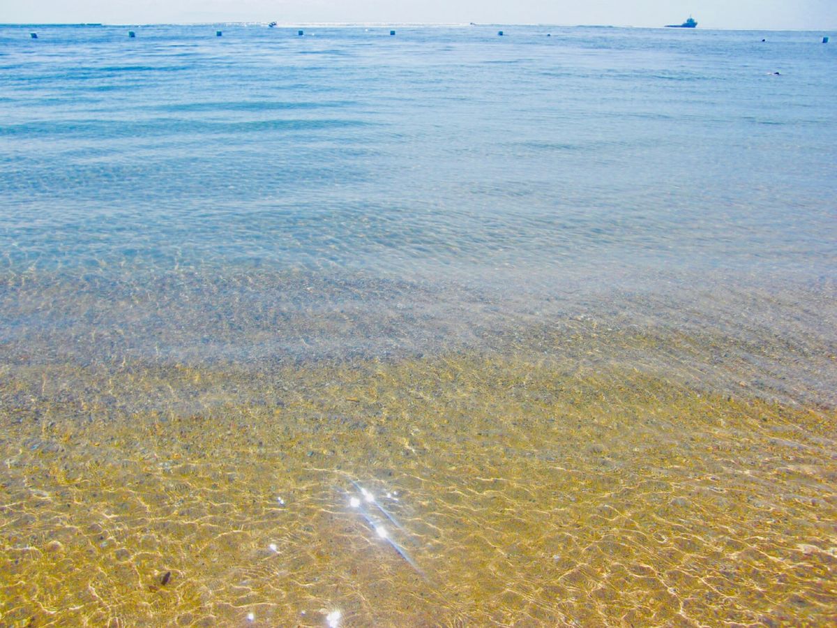 26th Feb 2010 pic📷

We took a walk in...