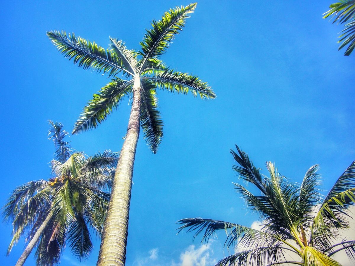 26th Feb 2010 pic📷

We took a walk in...