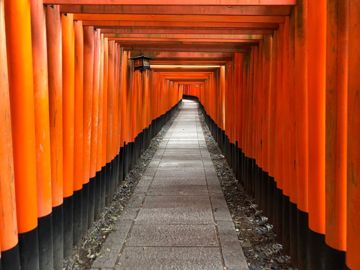こんな伏見稲荷大社、見たことない！
誰もいない！