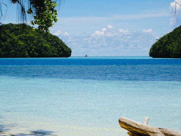 パラオ「Palau🇵🇼第２回母娘旅行👩‍👧」の写真：26th Sep 2010 pic📷

...