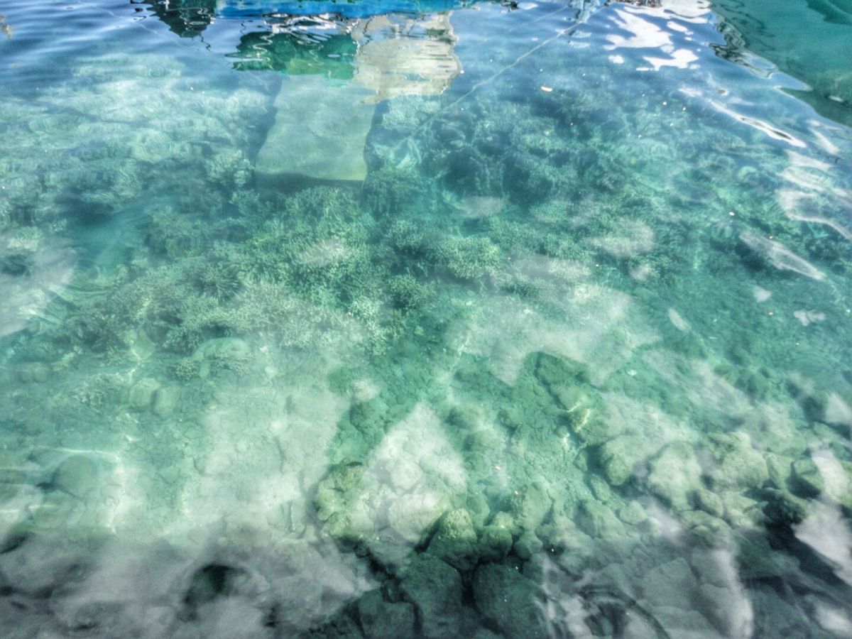 25th Sep 2010 pic📷
Good weather🌞✨
Let...