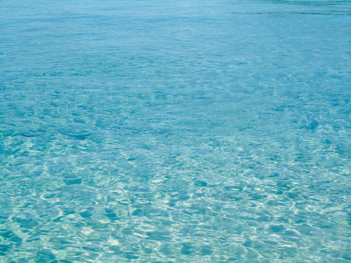 26th Sep 2010 pic📷

Palau is the mecc...