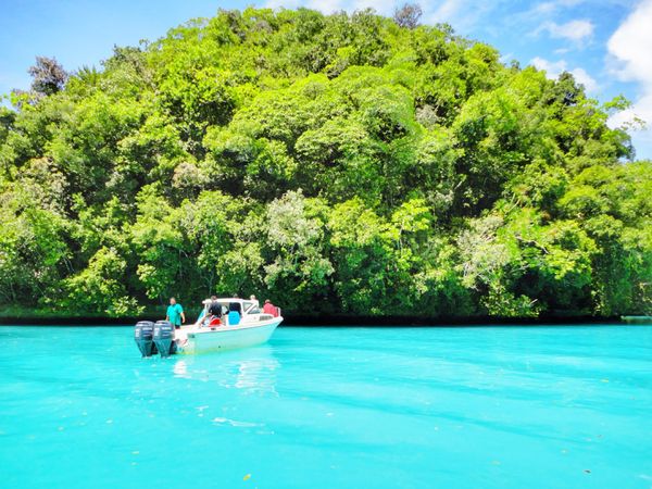 パラオ「Palau🇵🇼第２回母娘旅行👩‍👧」の写真：25th Sep 2010 pic📷
i...