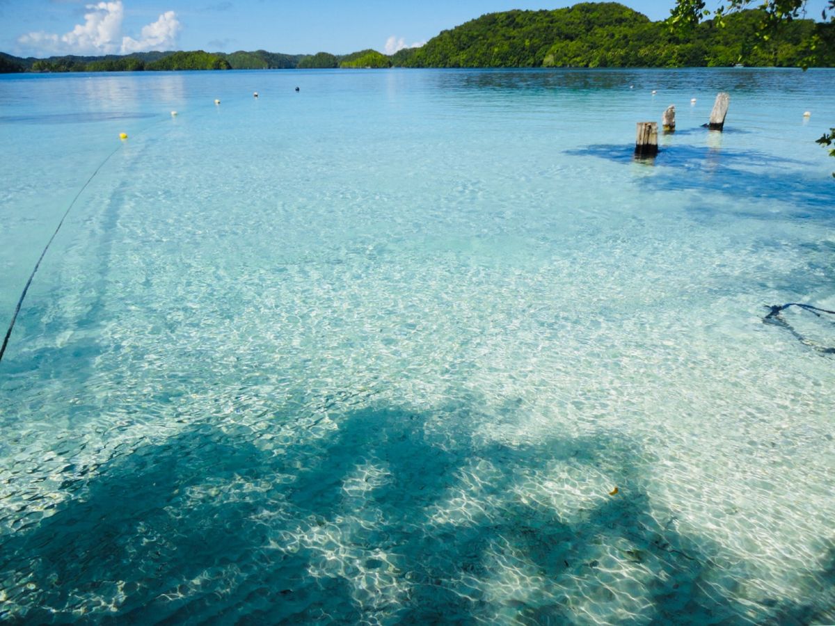 26th Sep 2010 pic📷

Palau is the mecc...