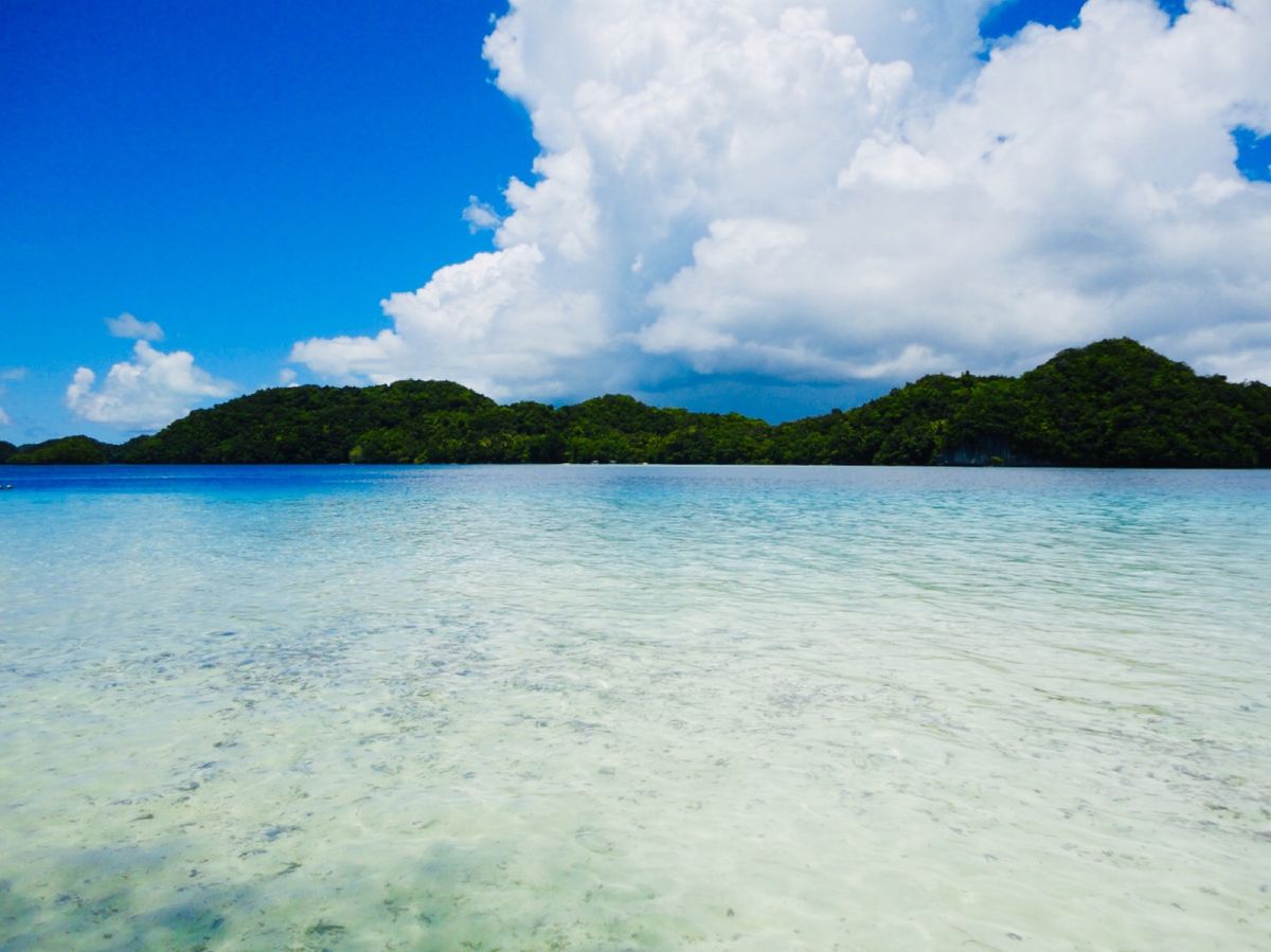 26th Sep 2010 pic📷

Palau is the mecc...