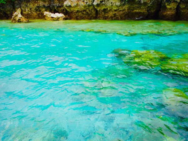 パラオ「Palau🇵🇼第２回母娘旅行👩‍👧」の写真：25th Sep 2010 pic📷

...